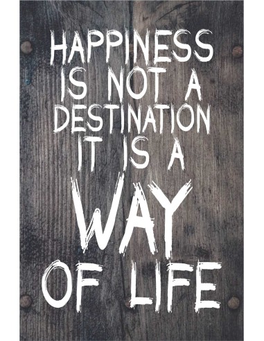 Skilt 107 - Happiness is not a