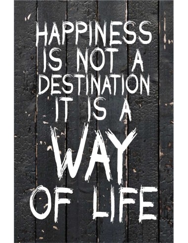 Skilt 107 - Happiness is not a