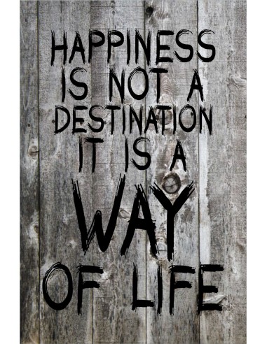 Skilt 107 - Happiness is not a