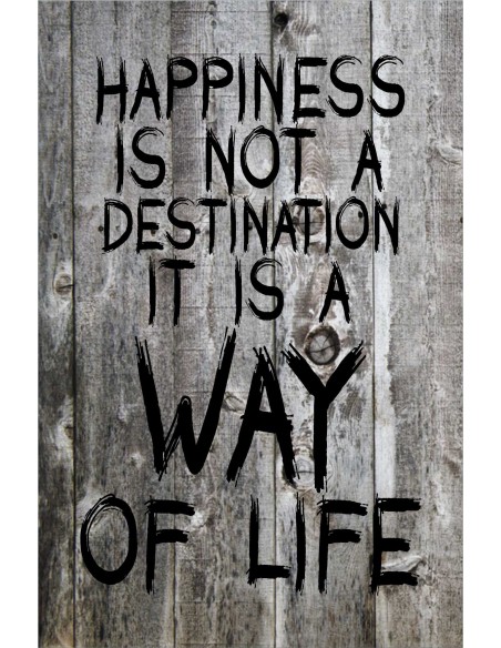 Skilt 107 - Happiness is not a