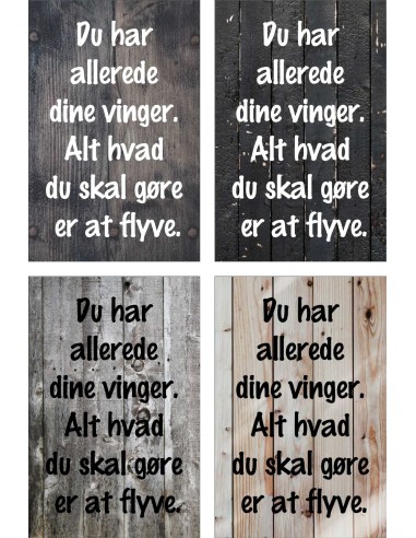 Skilt 146 - Du har allerede dine vinger