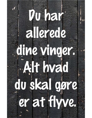 Skilt 146 - Du har allerede dine vinger