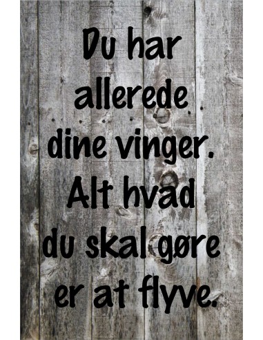 Skilt 146 - Du har allerede dine vinger