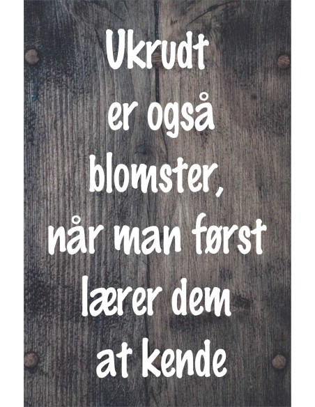 Skilt 154 - Ukrudt er også blomster