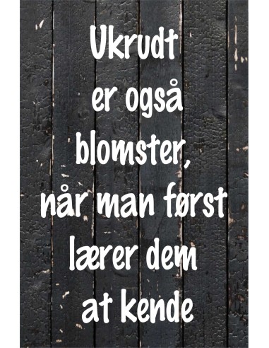 Skilt 154 - Ukrudt er også blomster