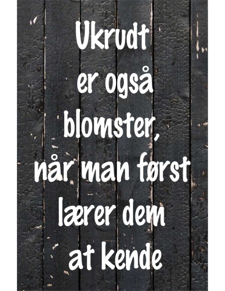 Skilt 154 - Ukrudt er også blomster