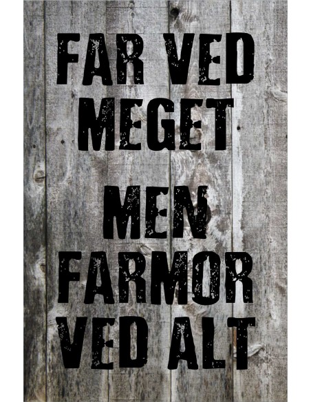 Skilt 161 - Far ved meget