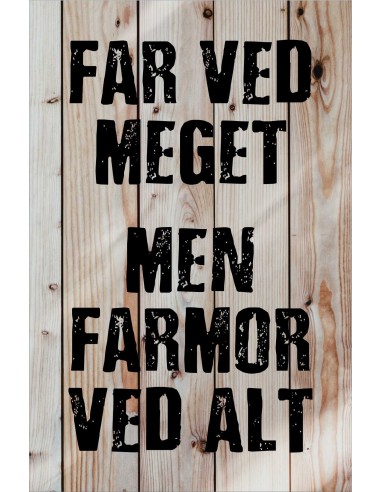 Skilt 161 - Far ved meget