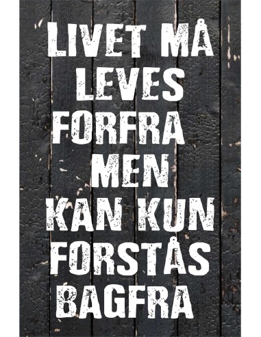 Skilt 171 - Livet må leves
