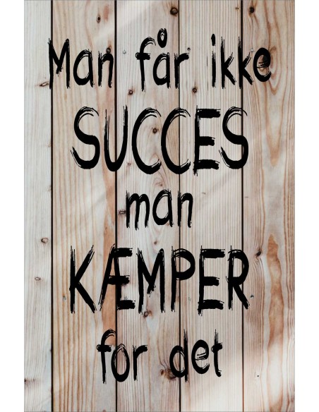 Skilt 172 - Man får ikke succes