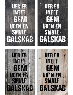 Skilt 173 - Der er intet geni 2