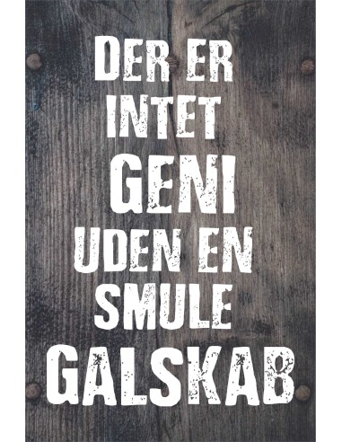 Skilt 173 - Der er intet geni