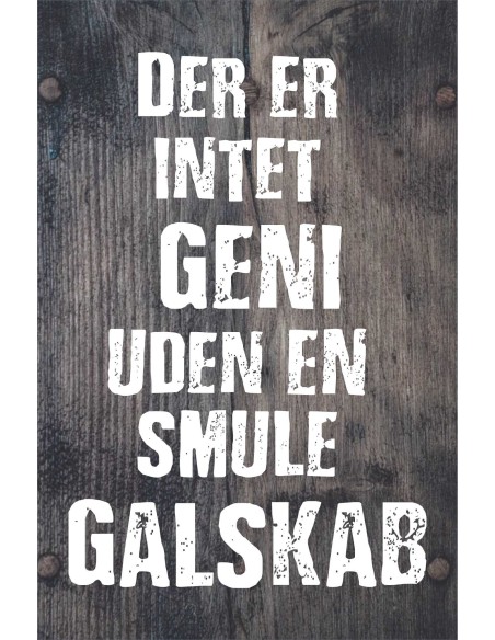 Skilt 173 - Der er intet geni