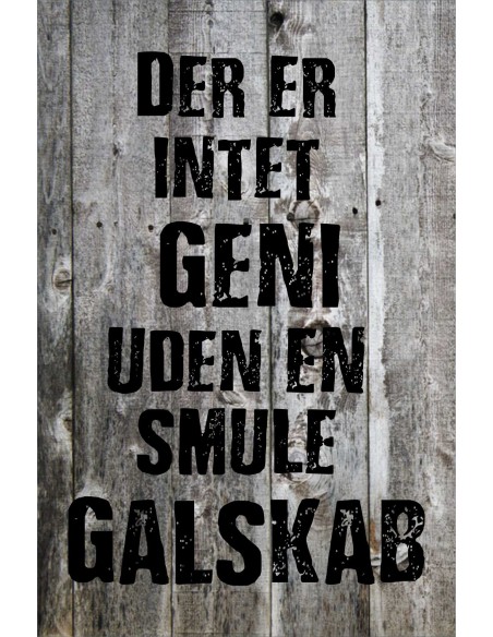 Skilt 173 - Der er intet geni