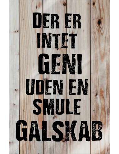 Skilt 173 - Der er intet geni