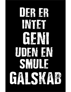 Skilt 173 - Der er intet geni