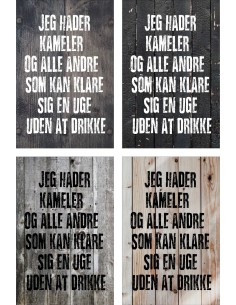 Skilt 187 - Jeg hader kameler 2